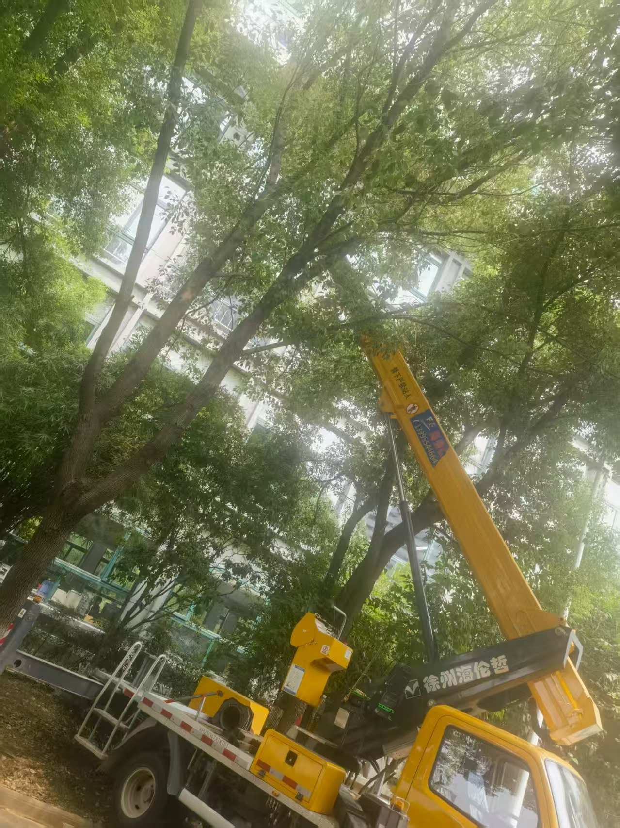 18米直臂升降車(chē)載人修剪樹(shù)枝、園林施工現(xiàn)場(chǎng)